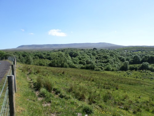 SAMSUNG CAMERA PICTURES