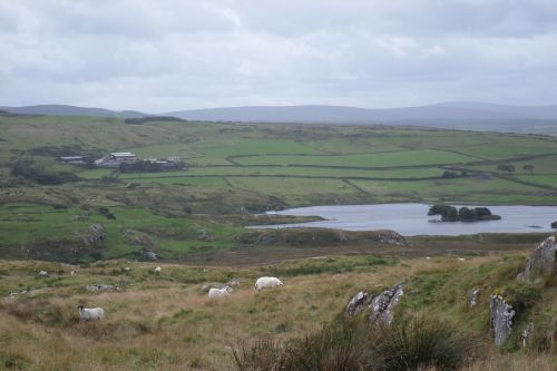 SAMSUNG CAMERA PICTURES