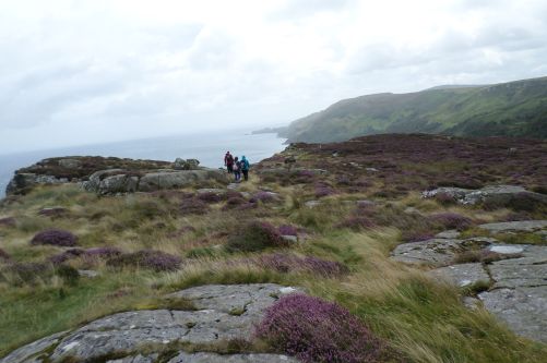 SAMSUNG CAMERA PICTURES