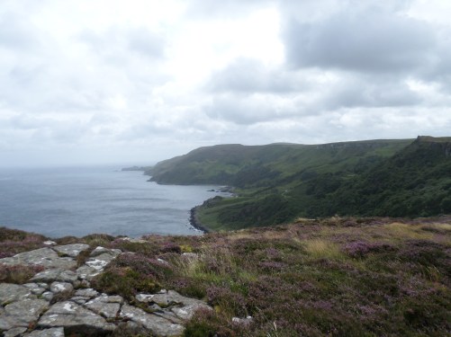 SAMSUNG CAMERA PICTURES